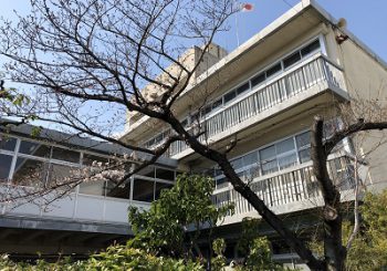 阪南高等学校の思い出 3